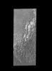 This image captured by NASA's 2001 Mars Odyssey spacecraft shows part of Siton Undae, one of the dune fields near the north polar cap.