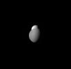 NASA's Cassini orbiter shows that Tethys appears to be peeking out from behind Rhea, watching the watcher. Scientists believe that Tethys' surprisingly high albedo is due to the water ice jets emerging from its neighbor, Enceladus.
