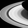 From afar, Saturn's rings look like a solid, homogenous disk of material. But upon closer examination from NASA's Cassini spacecraft, we see that there are varied structures in the rings at almost every scale imaginable.