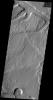 This image captured by NASA's 2001 Mars Odyssey spacecraft shows part of one of the numerous unnamed channels that dissect the northern margin of Arabia Terra.