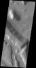 The channels in this image captured by NASA's 2001 Mars Odyssey spacecraft are part of Coloe Fossae, a series of linear depressions on the northeast margin of Terra Sabaea.