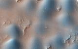This observation from NASA's Mars Reconnaissance Orbiter shows both dome and barchan dunes in a small sand dune field on the floor of Newton Crater, an approximately 300 kilometer (130 mile) wide crater in the Southern hemisphere of Mars.