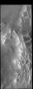 The intersecting ridges in this image from NASA's 2001 Mars Odyssey spacecraft are part of Angustus Labyrinthus, informally called Inca City.