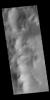 This image from NASA's 2001 Mars Odyssey spacecraft shows small dunes and gullies along the interior rim of Lowell Crater.