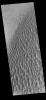 This image captured by NASA's 2001 Mars Odyssey spacecraft shows part of the dune field on the floor of Proctor Crater.