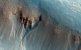 This enhanced-color image from NASA's Mars Reconnaissance Orbiter shows gullies in the northern wall of an unnamed crater in Utopia Planitia. The banked, sinuous shape of the gully channels suggest that water was involved in their formation.