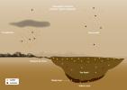 This labeled graphic illustrates how different organic compounds make their way to the seas and lakes on Titan, the largest moon of Saturn.