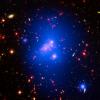 Astronomers have made the most detailed study yet of an extremely massive young galaxy cluster using three of NASA's Great Observatories. This rare galaxy cluster, located 10 billion light-years from Earth, is almost as massive as 500 trillion suns.