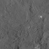 The fractured floor of Dantu Crater on Ceres is seen in this image from NASA's Dawn spacecraft taken on Dec. 21, 2015. Similar fractures are seen in Tycho, one of the youngest large craters on Earth's moon.