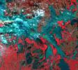 This image from NASA's Terra spacecraft shows Poyang Lake, which was once China's largest freshwater lake.