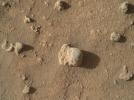 The nodule in the center of this image from NASA's Curiosity Mars rover shows individual grains of sand and (on the right) laminations from the sandstone deposit in which the nodule formed.