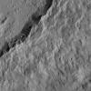 This image, taken by NASA's Dawn spacecraft, shows the southeastern rim of Occator Crater. Compacted material forms spurs along the crater wall. A group of roughly parallel, braided fractures can be seen on the crater floor at top center.