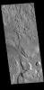 This image captured by NASA's 2001 Mars Odyssey spacecraft shows a portion of Hrad Valles. Hrad Valles is one of the many valley systems located west of the Elysium volcanic complex.