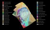 This geological map from NASA's New Horizons covers a portion of Pluto's surface and includes the vast nitrogen-ice plain informally named Sputnik Planum and surrounding terrain.
