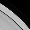 Two tiny moons of Saturn, almost lost amid the planet's enormous rings, are seen orbiting in this image from NASA's Cassini spacecraft. Pan, lower-right, is in the process of overtaking the slower Atlas, visible at upper-left.