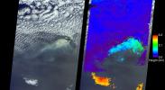 NASA's Terra satellite passed directly over the island of Madeira on Wednesday, Aug. 10, 2016, where a wildfire spread to the capital city of Funchal.