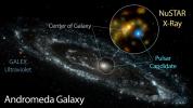 NASA's NuSTAR has identified a candidate pulsar in Andromeda, the nearest large galaxy to the Milky Way. This likely pulsar is brighter at high energies than the Andromeda galaxy's entire black hole population.