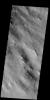 This image captured by NASA's 2001 Mars Odyssey spacecraft shows dust devil tracks in Argyre Planitia.