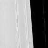 Many of the features seen in Saturn's rings are shaped by the planet's moons. This view from NASA's Cassini spacecraft shows two different effects of moons that cause waves in the A ring and kinks in a faint ringlet.