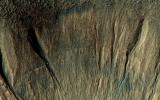 This image captured by NASA's Mars Reconnaissance Orbiter covers a portion of a typical impact crater in Terra Sirenum. Some of the gully fans have a bluish color: these are probably quite recent deposits, less than a few tens of years old.