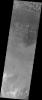 This image captured by NASA's 2001 Mars Odyssey spacecraft shows individual dunes on the floor of Russell Crater. These dunes are in the southern part of the dune field.