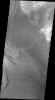 This image captured by NASA's 2001 Mars Odyssey spacecraft shows part of the Nili Patera dune field. The paterae are calderas on the volcanic complex called Syrtis Major Planum.