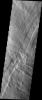 This image captured by NASA's 2001 Mars Odyssey spacecraft shows part of the western flank of Pavonis Mons. The linear features are faults. Faulting usually includes change of elevation, where blocks of material slide down the fault.