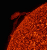 NASA's Solar Dynamics Observatory observed a prominence rising up above the sun, sending an arch of plasma to link up magnetically with an active region over a one-day period (Jan, 9-10, 2017).