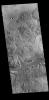 This image captured by NASA's 2001 Mars Odyssey spacecraft shows a section of Granicus Valles. Granicus Valles is one of several channel systems the originate near Elysium Mons.