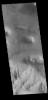 This image captured by NASA's 2001 Mars Odyssey spacecraft shows part of the wall and floor of Coprates Chasma. Several landslide deposits are visible as well as small regions of sand dunes.