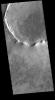 This image from NASA's Mars Odyssey shows dust devil tracks in Utopia Planitia on Mars. The tracks occur where dust devils have scoured the fine materials off the underlying surface.