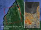 The ARIA team at NASA's Jet Propulsion Laboratory created this Damage Proxy Map (DPM) depicting areas in Central Sulawesi, Indonesia, including the city of Palu, that are likely damaged as a result of the magnitude 7.5 September 28, 2018 earthquake.