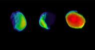 These three views of the Martian moon Phobos were taken by NASA's 2001 Mars Odyssey orbiter using its infrared camera, THEMIS.