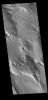 This image from NASA's Mars Odyssey shows part of Medusa Fossae. Winds have eroded materials in this region, creating ridges and valleys aligned with the direction of the wind.