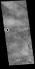 This image from NASA's Mars Odyssey shows windstreaks located in Daedalia Planum.
