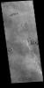 This image from NASA's Mars Odyssey shows several windstreaks located on the volcanic plains of Daedalia Planum.