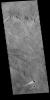 This image from NASA's Mars Odyssey shows several windstreaks on lava plains southwest of Arsia Mons. The extensive lava flow field is called Daedalia Planum.