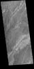 This image from NASA's Mars Odyssey shows part of the extensive lava flows that comprise Daedalia Planum.