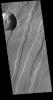 This image from NASA's Mars Odyssey shows the eastern flank of Alba Mons.