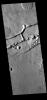 This image from NASA's Mars Odyssey shows a section of Sirenum Fossae. The linear depressions were created by tectonic forces stretching the surface.