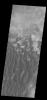 This image from NASA's Mars Odyssey shows many individual dunes, located in Kaiser Crater.