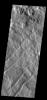 This image from NASA's Mars Odyssey shows linear depressions known as tectonic graben.