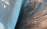 This image acquired on January 10, 2021 by NASA's Mars Reconnaissance Orbiter, shows a large sand dune with bright patches. Martian dunes near the poles often have bright patches in the spring, when seasonal frost is lingering.