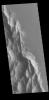 This image from NASA's Mars Odyssey shows the ridge forms that are typical of this region of Lycus Sulci, northwest of Olympus Mons.