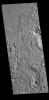 This image from NASA's Mars Odyssey shows Avernus Colles, on the margin with Elysium Planitia.