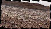 NASA's Curiosity Mars rover used its Mast Camera, or Mastcam, to survey these wind-sharpened rocks, called ventifacts, on March 15, 2022. The team has informally described these patches of ventifacts as gator-back rocks because of their scaly appearance.
