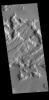 This image from NASA's Mars Odyssey shows a small portion of Tempe Fossae. The fossae are graben comprised of paired, parallel fractures with a down-dropped block of material between the fracture set.