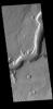 This image from NASA's Mars Odyssey shows a section of Mamers Valles. Mamer Valles is nearly 1000 km long (600 miles).