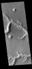 This image from NASA's Mars Odyssey shows Nirgal Vallis and several of its tributary channels.