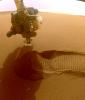 This GIF shows NASA's Perseverance Mars rover collecting two samples of regolith – broken rock and dust – with a regolith sampling bit on the end of its robotic arm.